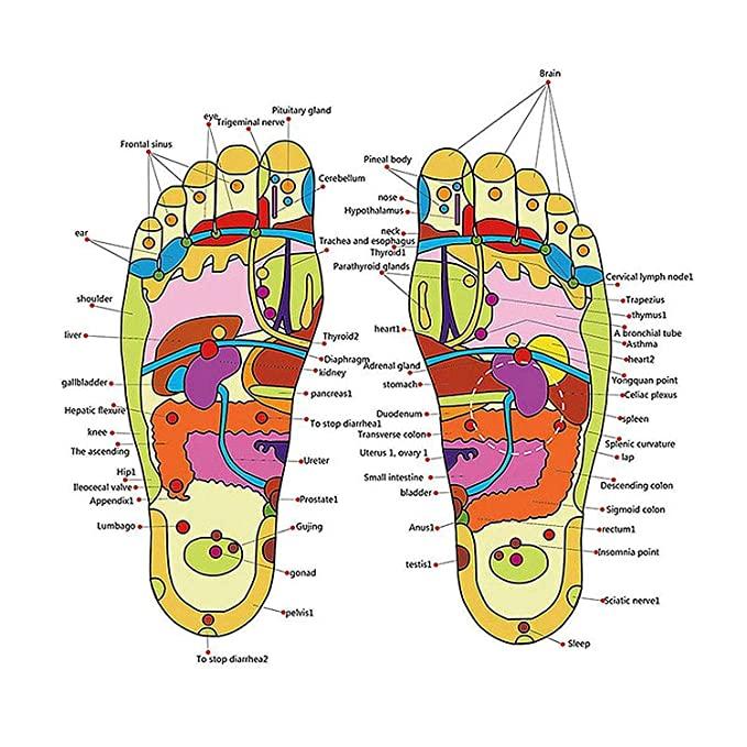 Spring Acupressure and Magnetic Therapy Slippers | Relieve Pain, Boost Circulation, Reduce Stress